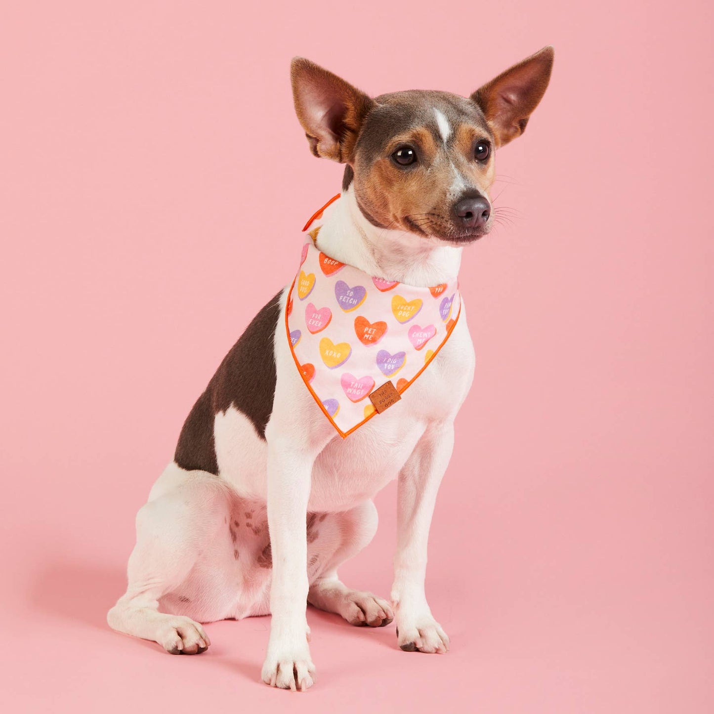 The Foggy Dog - Candy Hearts Valentine's Day Dog Bandana