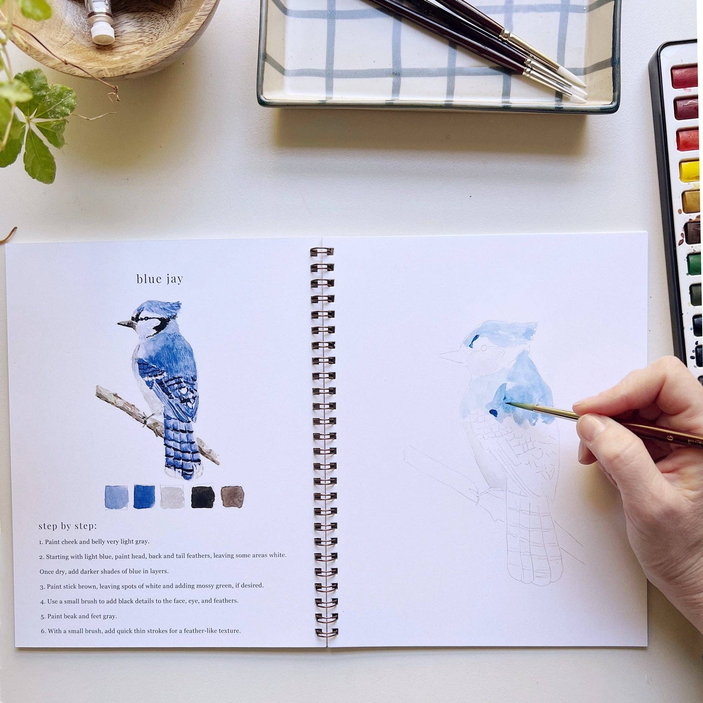 emily lex studio - Birds watercolor workbook