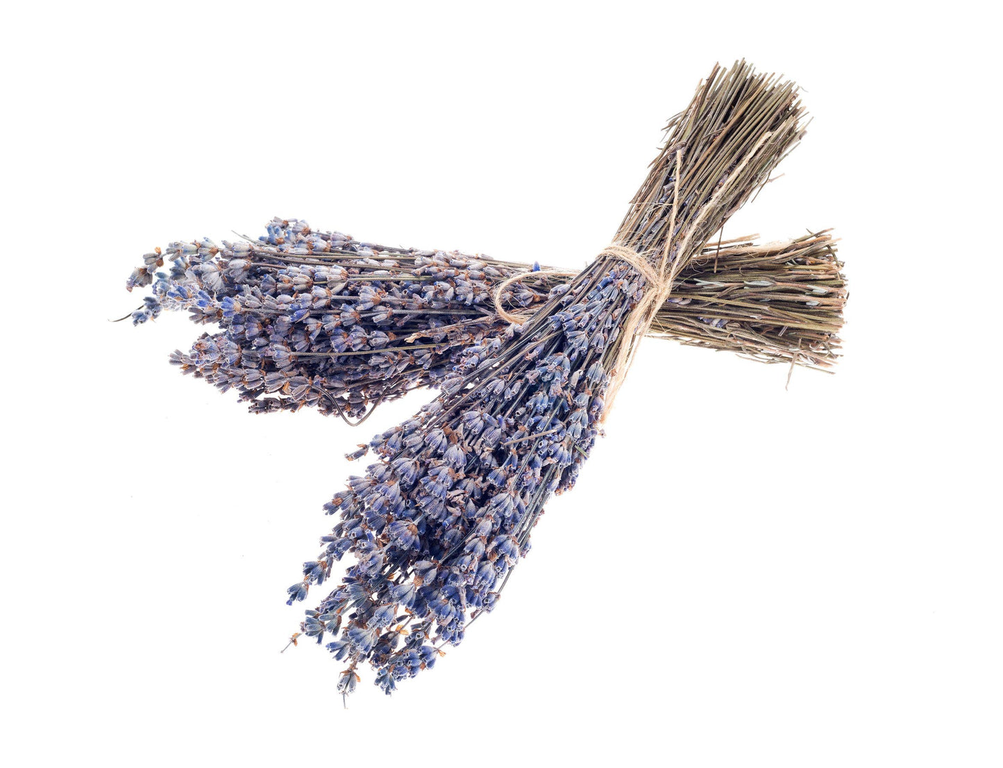 Seattle Seed Co. - Dried French Lavender Bundles