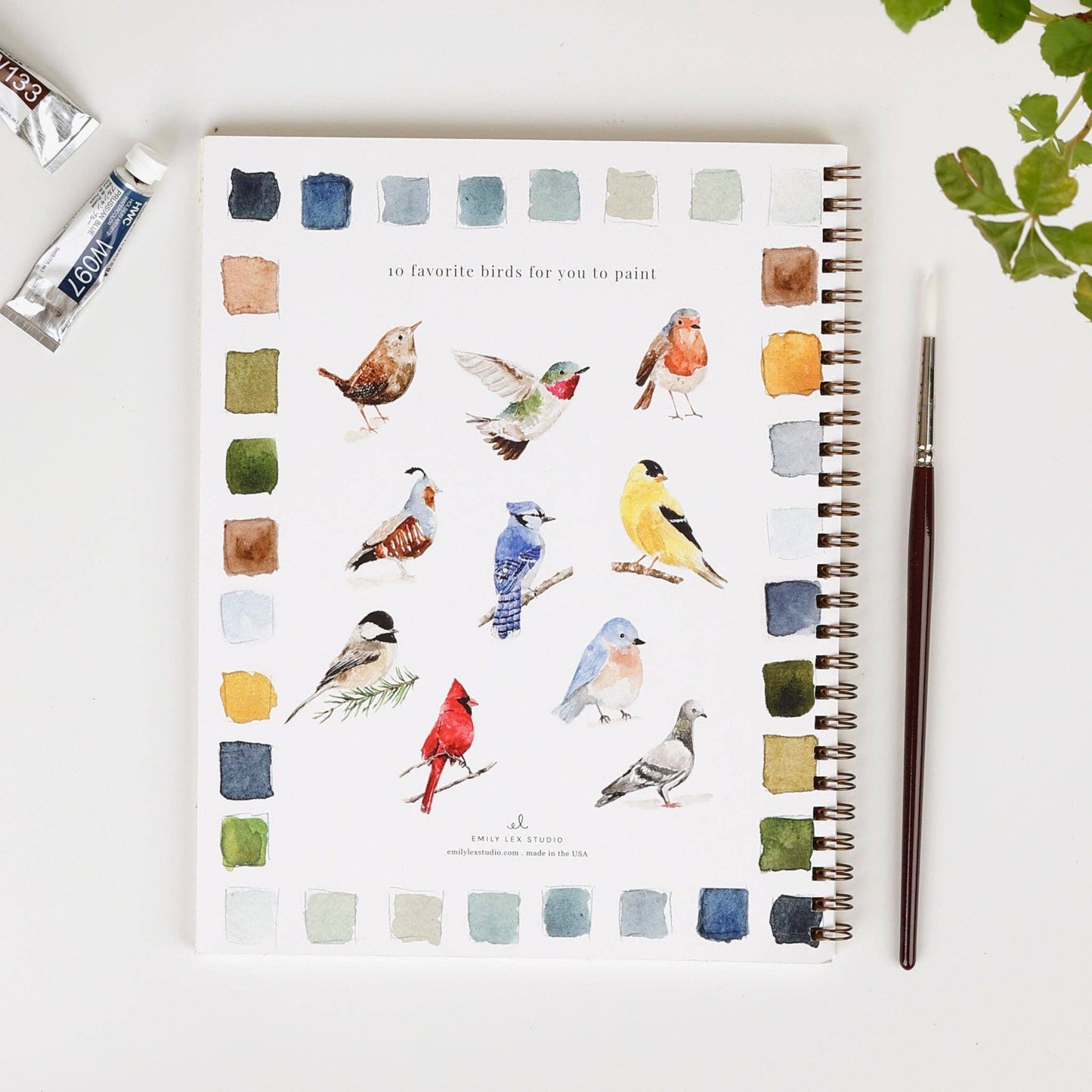 emily lex studio - Birds watercolor workbook