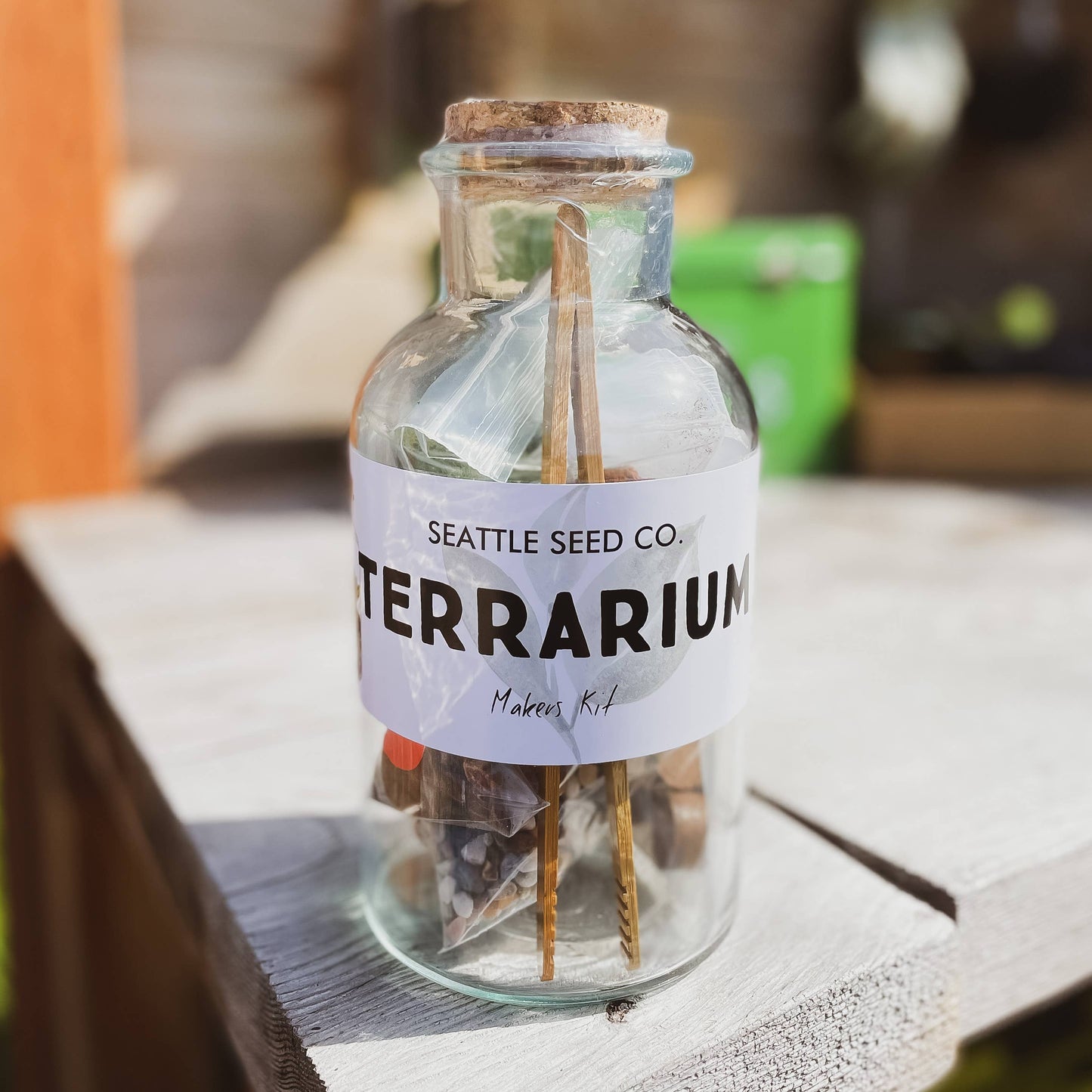 Seattle Seed Co. - DIY Terrarium Kit