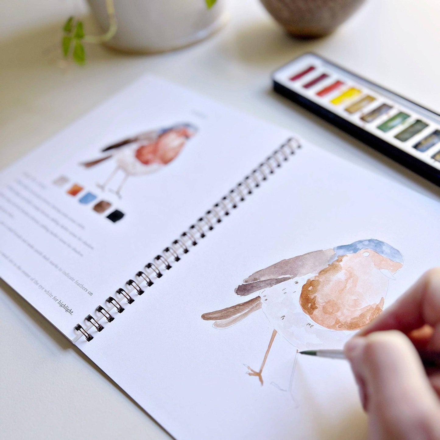 emily lex studio - Birds watercolor workbook