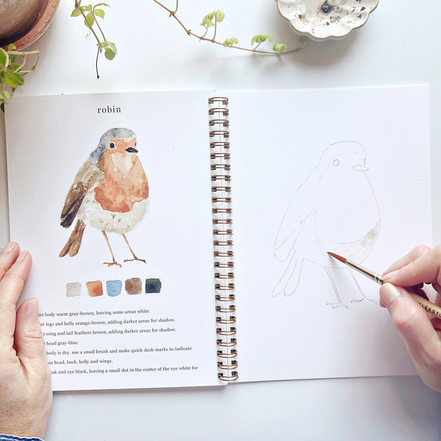 emily lex studio - Birds watercolor workbook