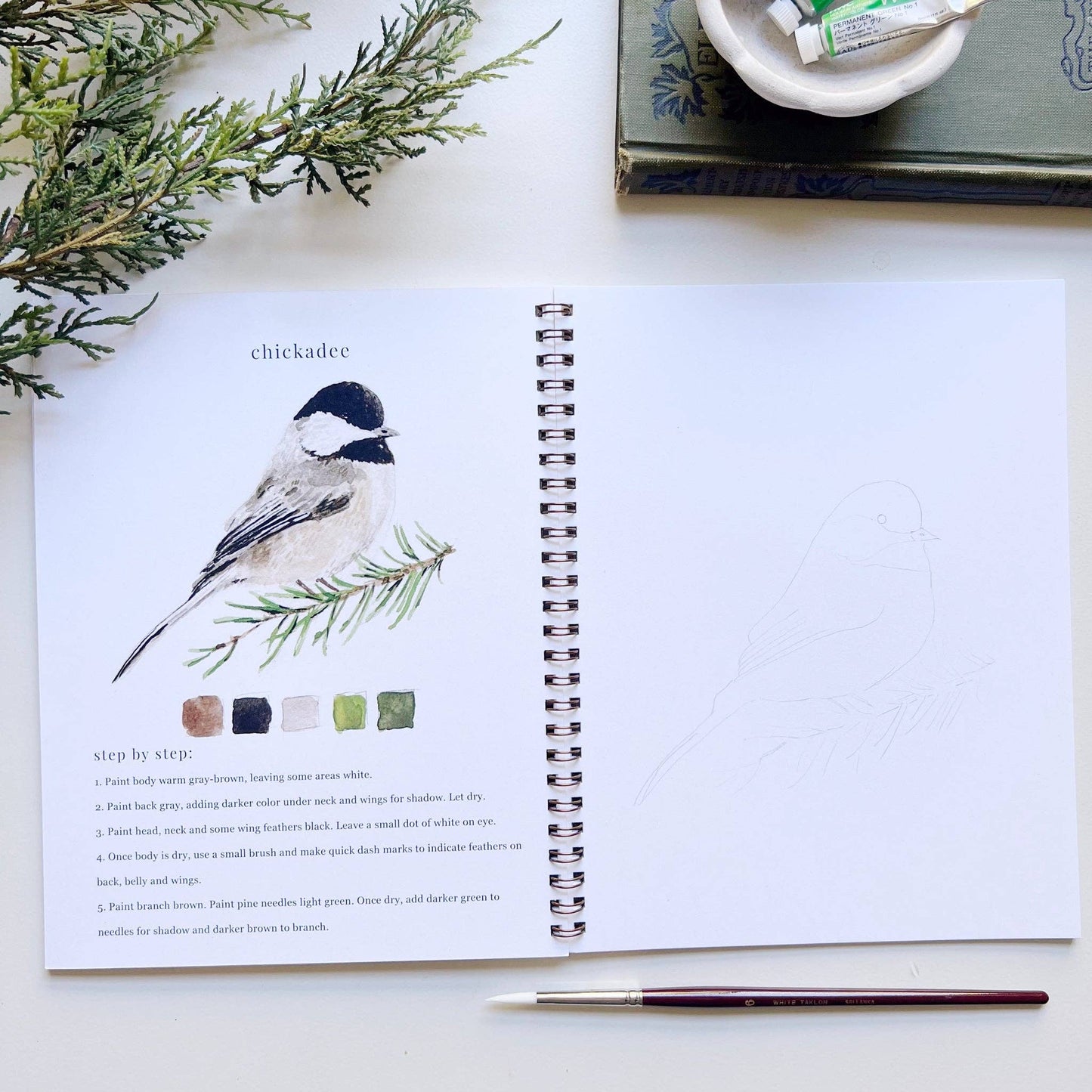 emily lex studio - Birds watercolor workbook