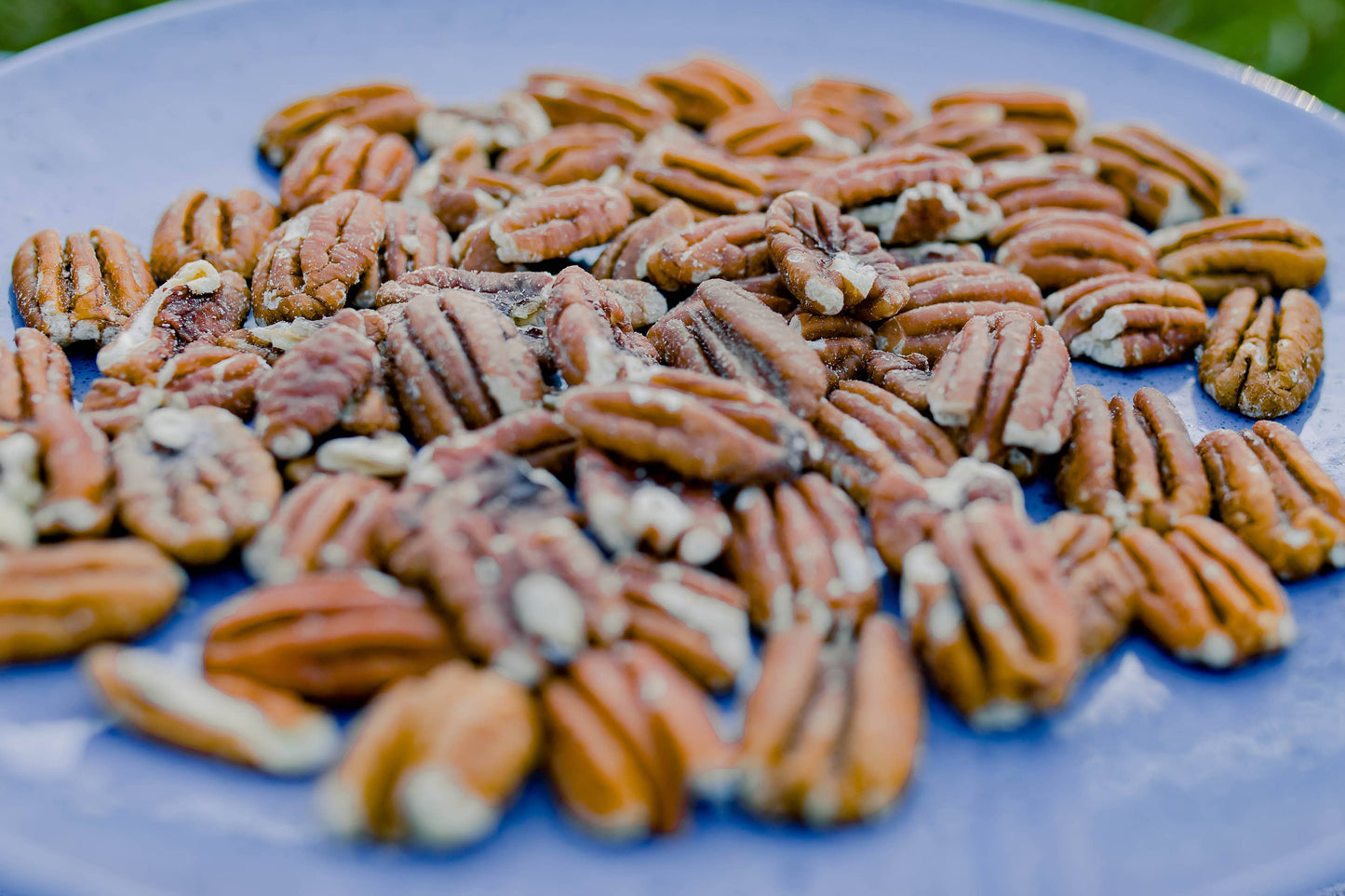 Zorro Pecans - Roasted & Salted Pecans