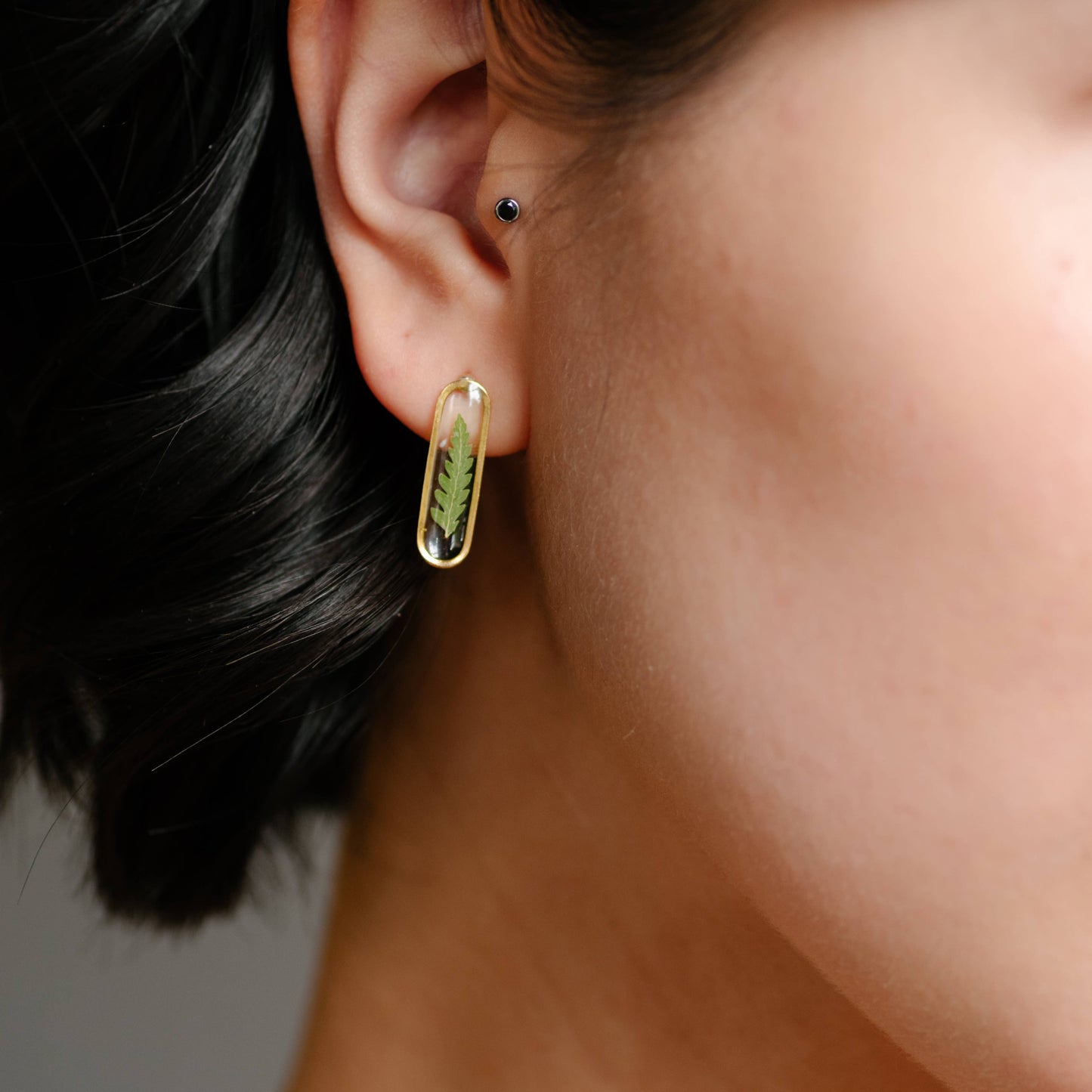 Cameoko - Slender Oval Drop Post Earrings Fern or Leaf: Pressed ferns