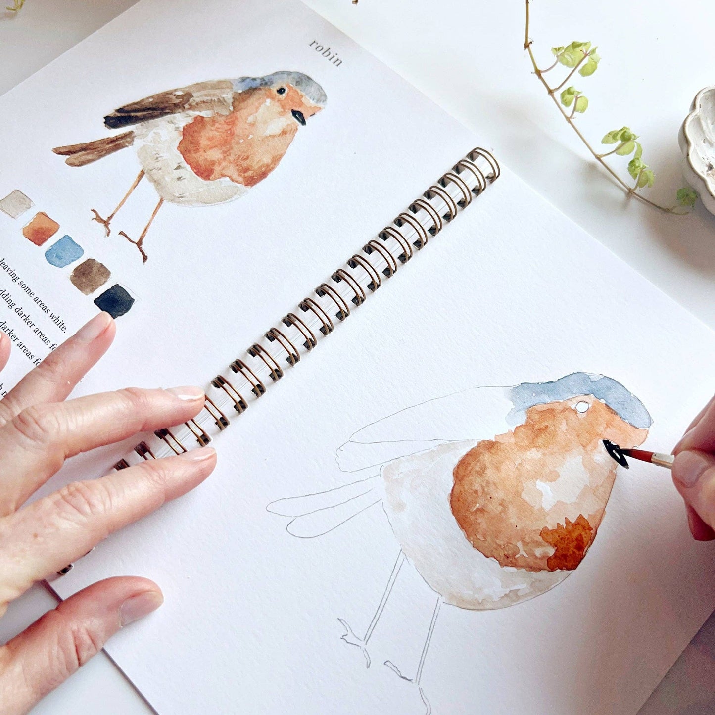 emily lex studio - Birds watercolor workbook