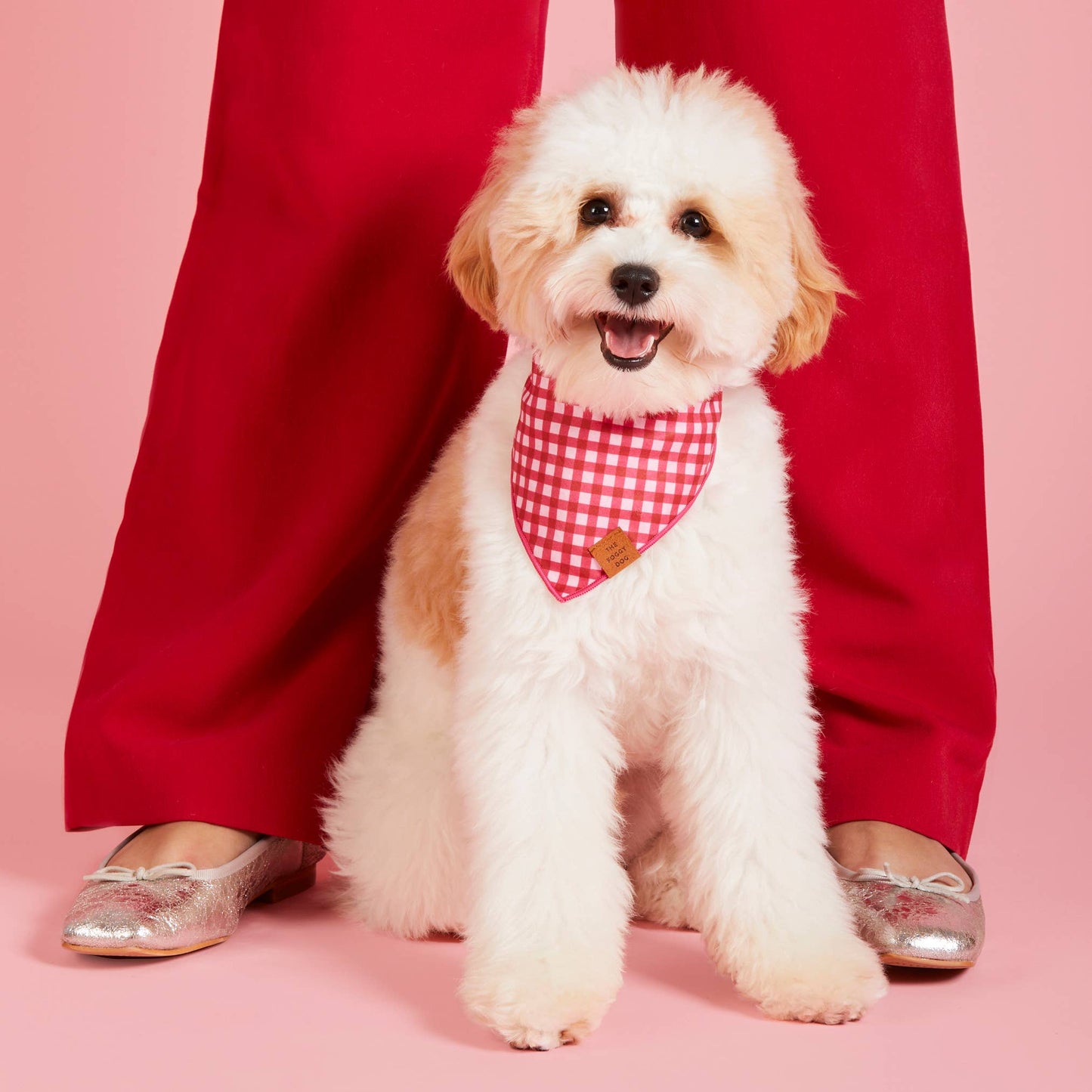 The Foggy Dog - Raspberry Gingham Valentine's Day Dog Bandana