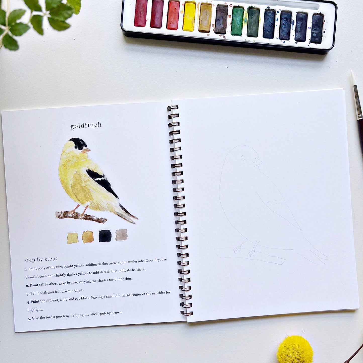 emily lex studio - Birds watercolor workbook