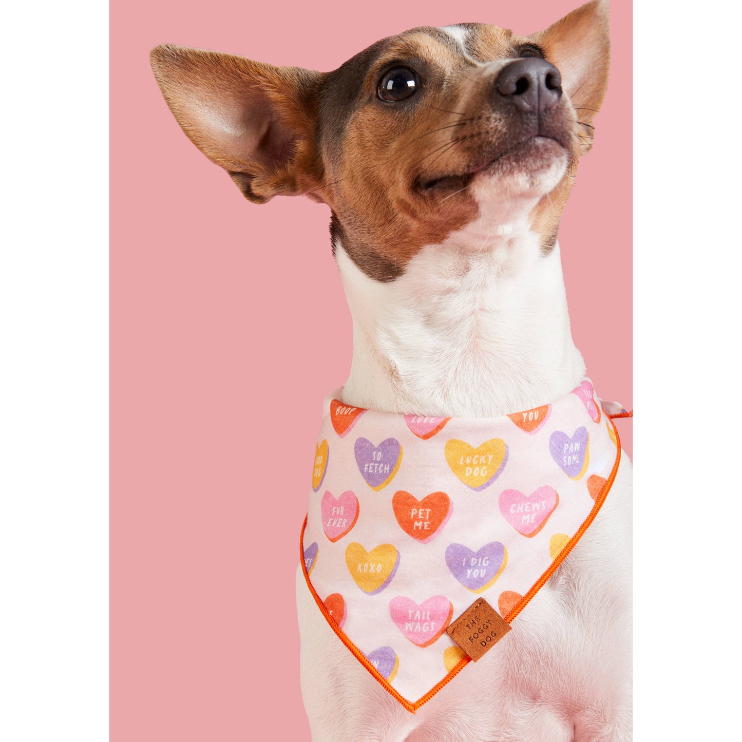The Foggy Dog - Candy Hearts Valentine's Day Dog Bandana