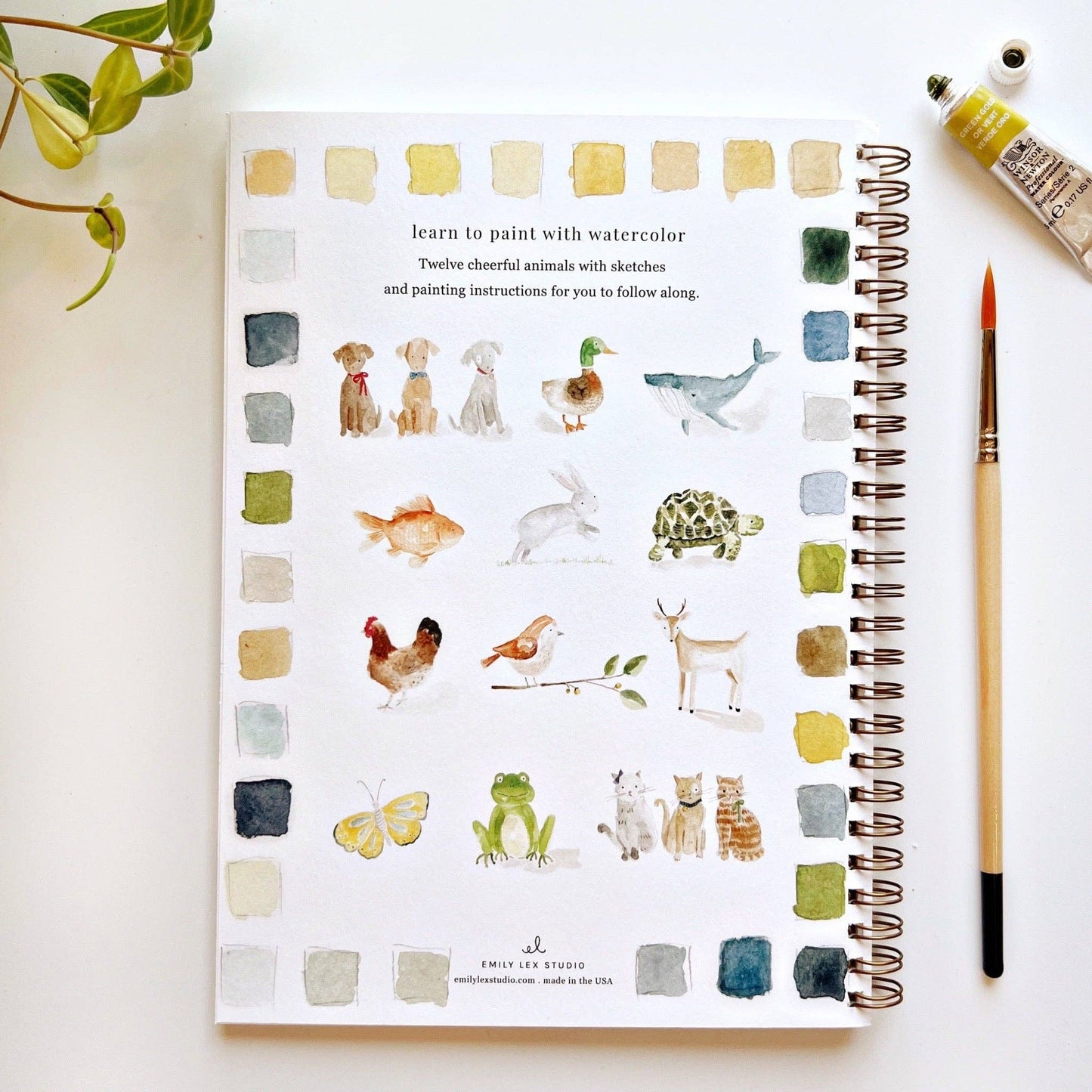 emily lex studio - Animals watercolor workbook