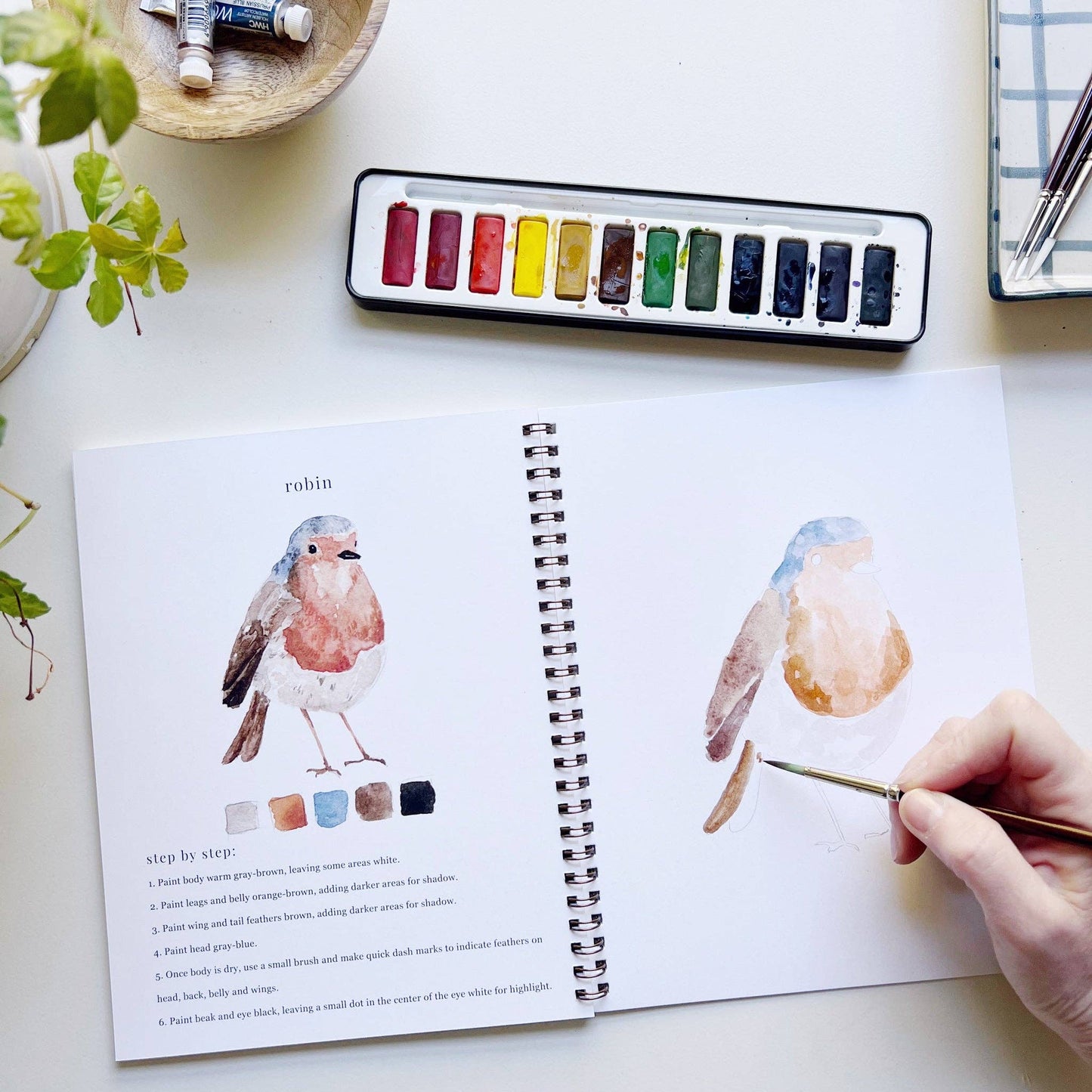 emily lex studio - Birds watercolor workbook