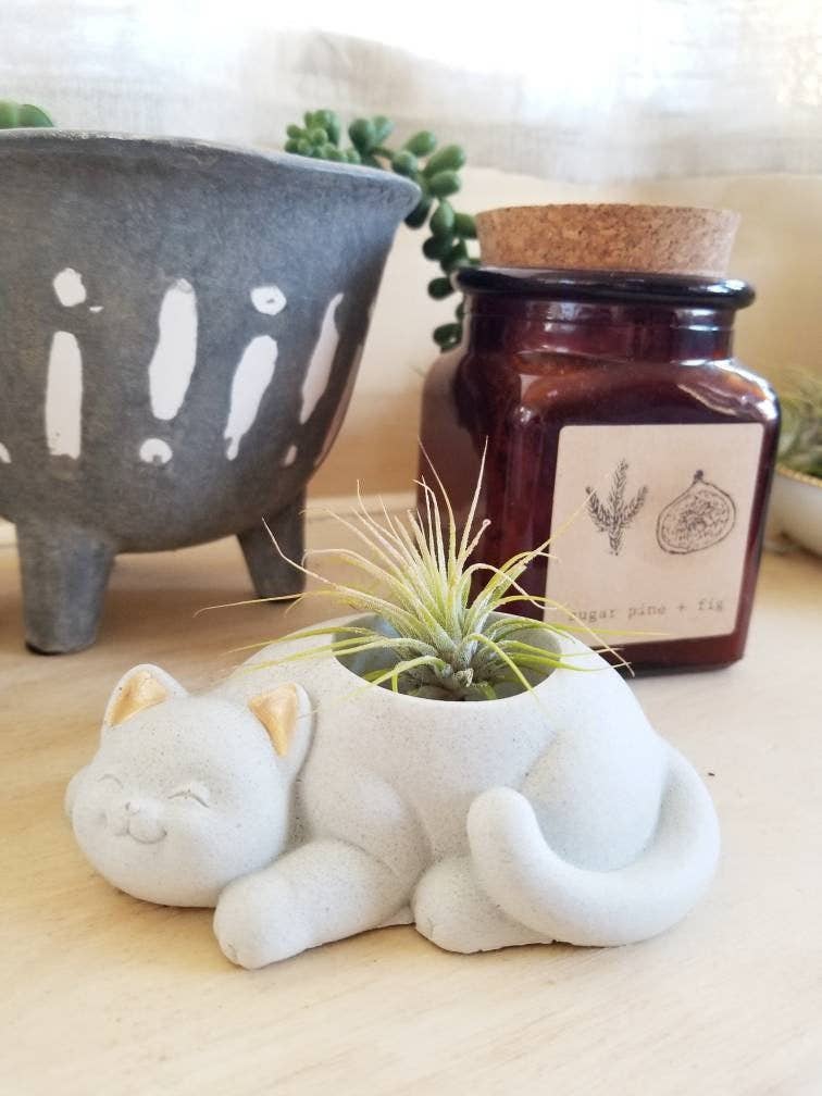 Dovekie & Finch - Concrete Cat Planter or Ring Dish