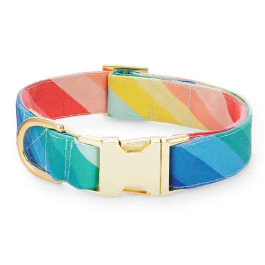 The Foggy Dog - Over the Rainbow Dog Collar