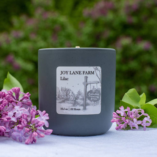 Lilac Ceramic Minimalist Candle - Non-toxic, Coconut Soy