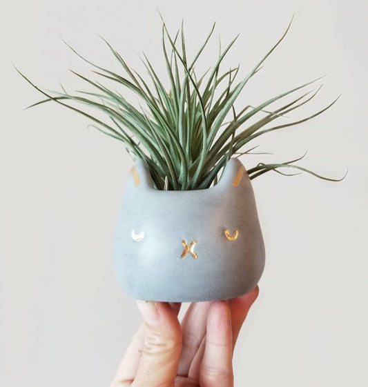 Dovekie & Finch - Cat Planter