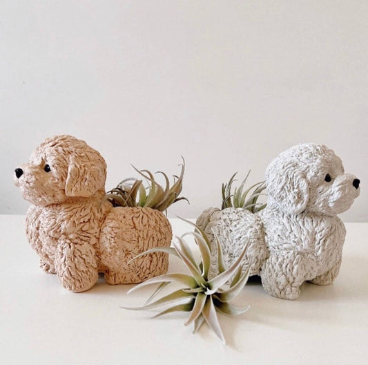 Dovekie & Finch - Doodle Dog Planter