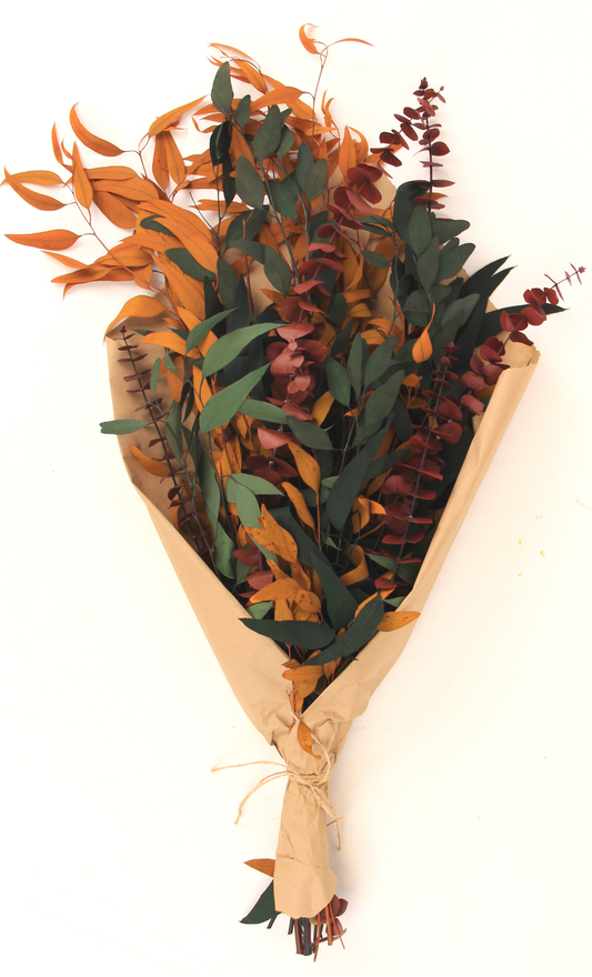 Andaluca - Autumn Eucalyptus Bundle - Forest Green