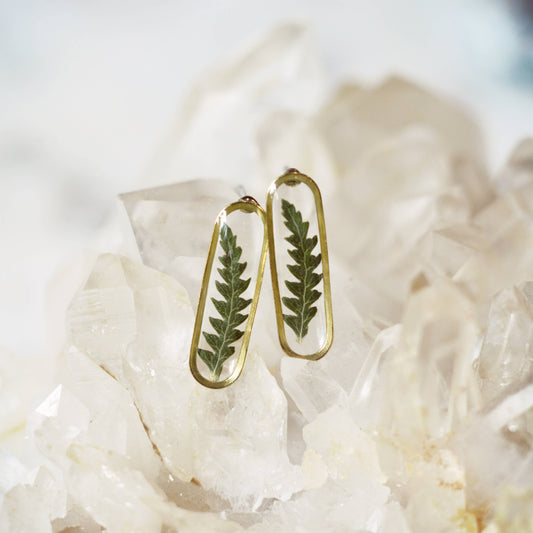 Cameoko - Slender Oval Drop Post Earrings Fern or Leaf: Pressed ferns