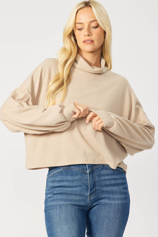 Taupe Brushed Knit Turtle Neck Pullover Top