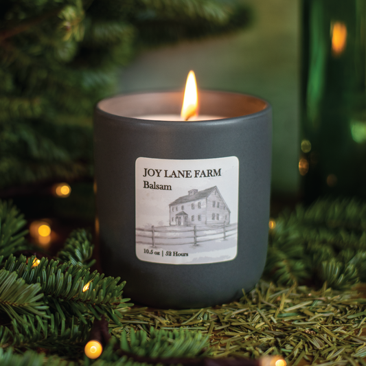 Joy Lane Farm - Balsam Ceramic Minimalist Candle - Non-toxic, Coconut Soy