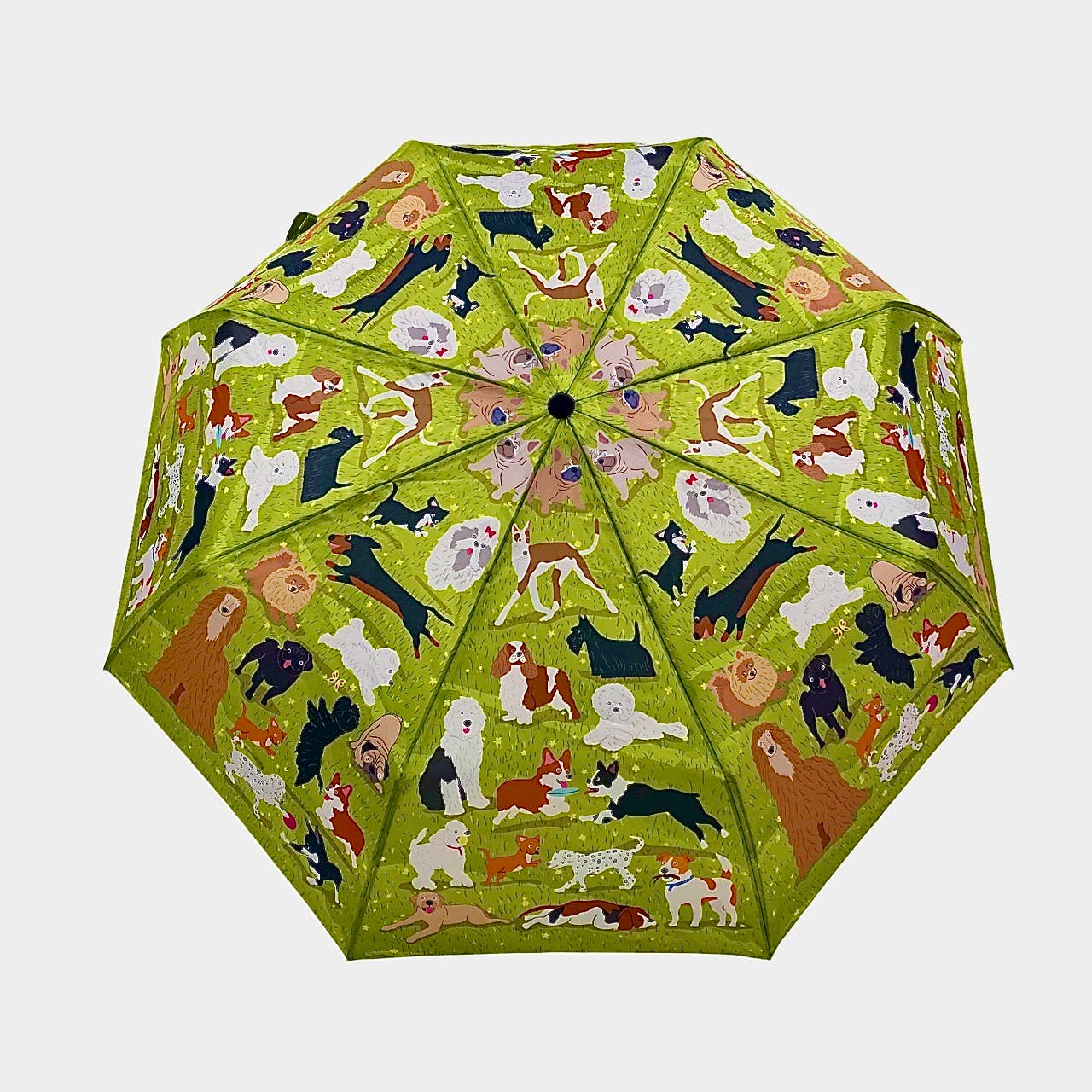 Naked Decor - Dog Park Umbrella